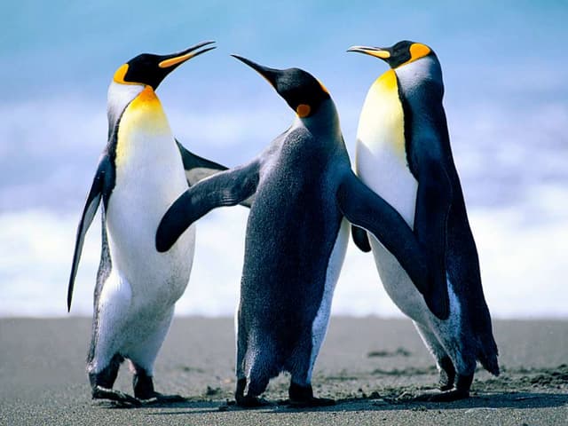 Smarter ways to do selenium automation @ work, Selenium, automation