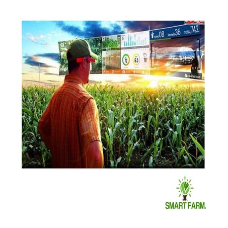 Smart farm thailand