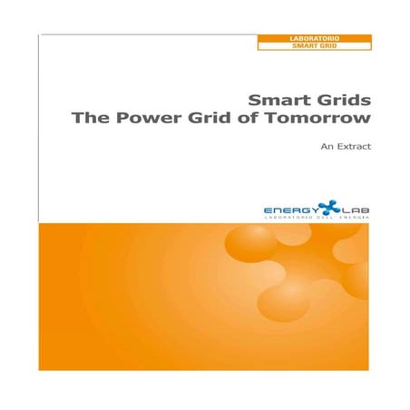 Executive Summary - Smart Grid
