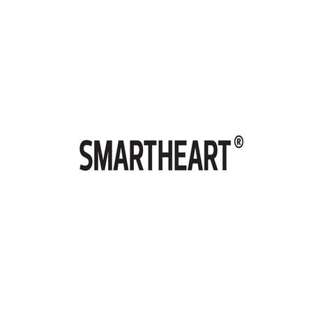 SmartHeart проекты в cфере культуры (2008-2011)