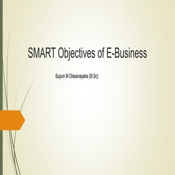 Smart objectives of e business
