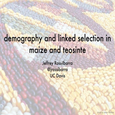 Presentation at SMBEBA