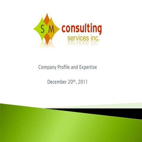 Sm Consulting Services   Expertise