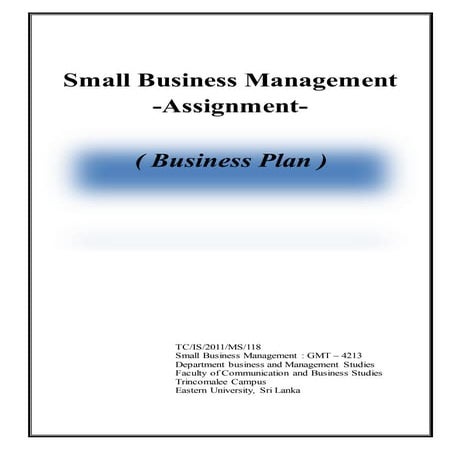 Business Plan