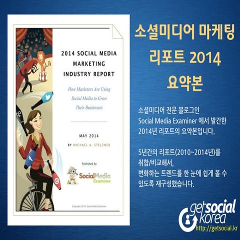 Social Media Marketing Report 2014