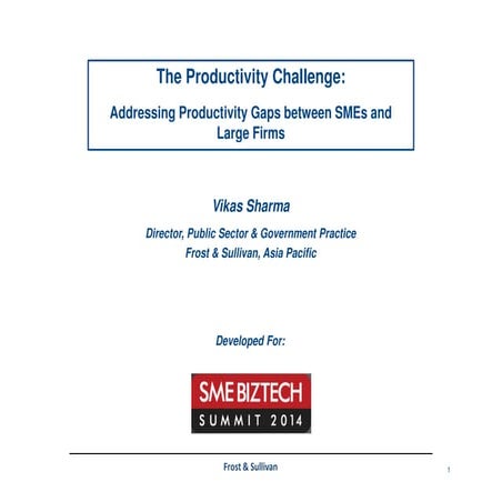 Producitivity Challenges of Small and Medium Enterprises