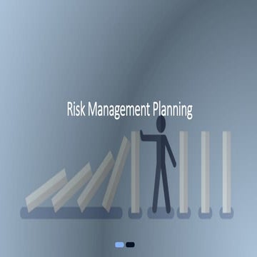 SME Consulting - Risk Management Planning