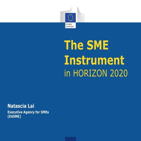 The SME Instrument in Horizon 2020