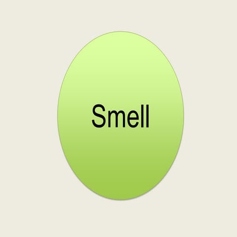 Smell