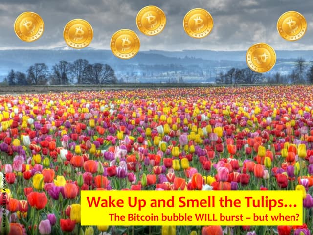 Bitcoin Crash => Wake up and Smell ...