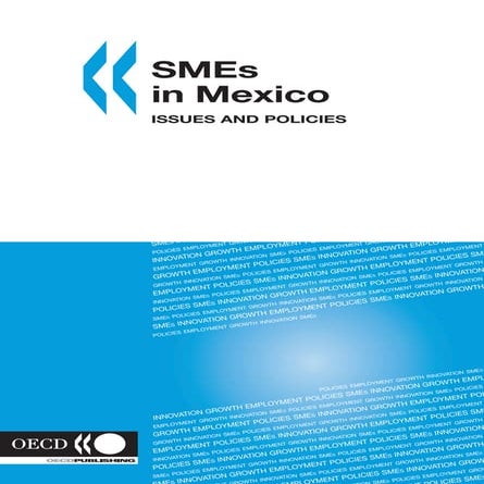 SMEs in Mexico Issues and Policies ( PDFDrive ).pdf