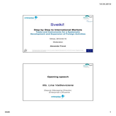 Tasks and tools for a systematic development of international activities