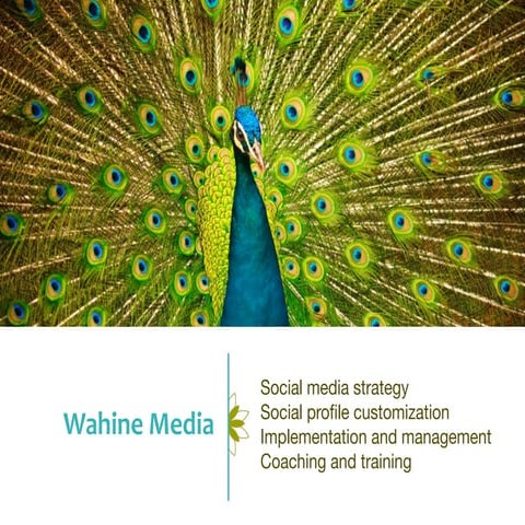 Social Media for Business: Wahine Media at Sunset Rotary Waikiki