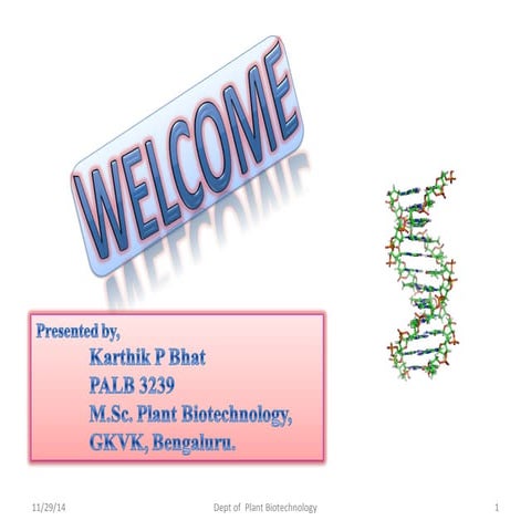Strategies to Remove Selectable Marker Genes from Transgenic Plants