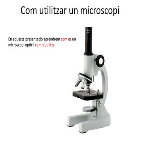 ús microscopi