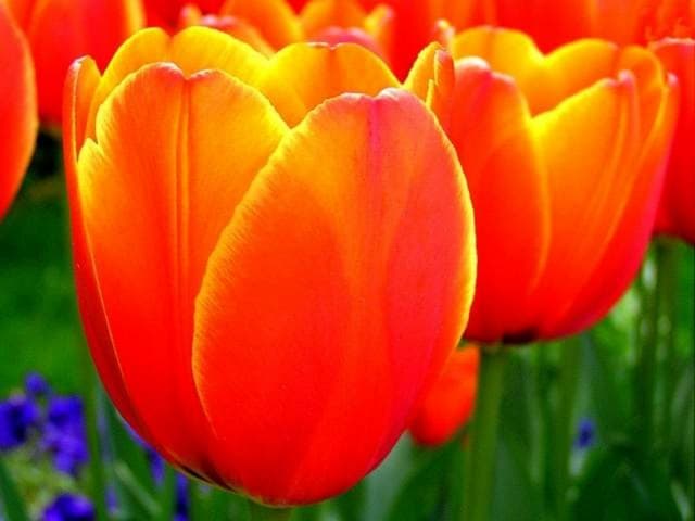 SMILES and Thoughts.......