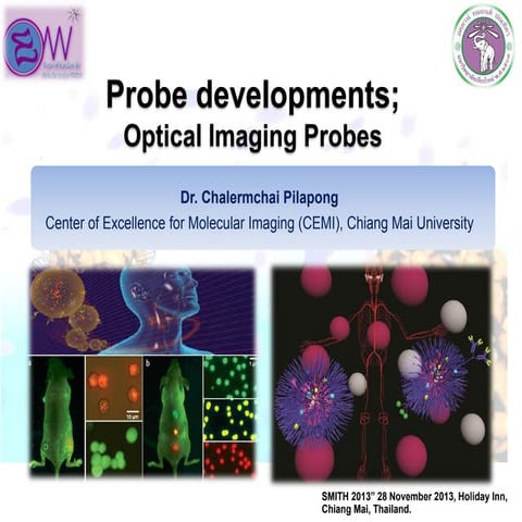 Optical Imaging Probe development