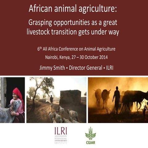 African animal agriculture: Grasping opportunities as a great livestock trans...