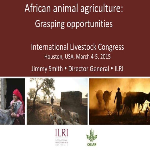African animal agriculture: Grasping opportunities