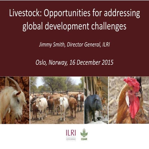 Livestock: Opportunities for addressing global development challenges