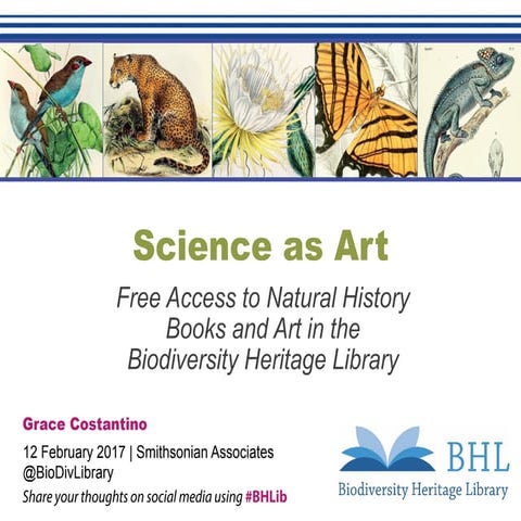 Science as Art: Free Access to Natural History Books and Art in the Biodivers...