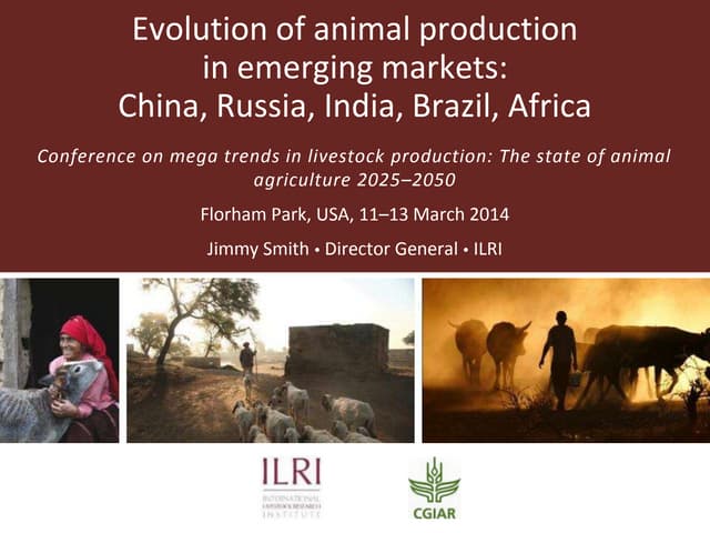Evolution of animal production in emerging markets: China, Russia, India, Brazil, Africa