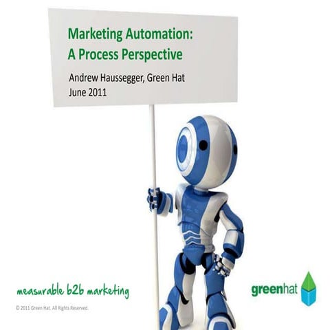 Marketing Automation: A Process Perspective