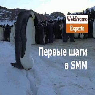 С чего начать бизнесу в социальных ...