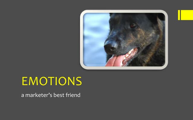 Emotions