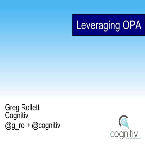 Leveraging OPA - Social Media And Advertising Miami