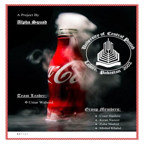 Social Media Marketing Project