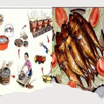 Smoking of fish and other fishery produts .pptx