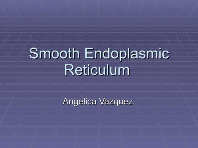 Smooth endoplasmic reticulum
