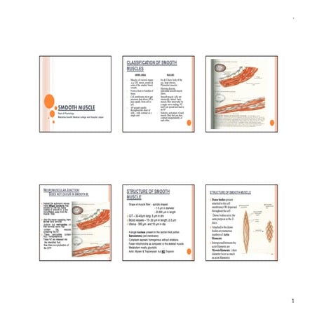 Smooth muscle and Cardiac Muscle [Compatibility Mode].pdf