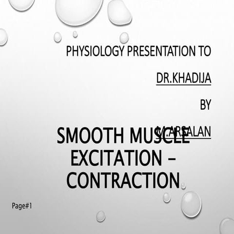 Smooth Muscle Excitation Contraction