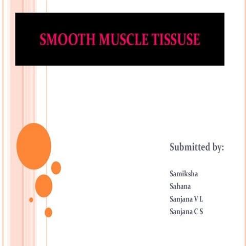 Comprehensive Overview of Smooth Muscle Tissue: Structure, Function ...