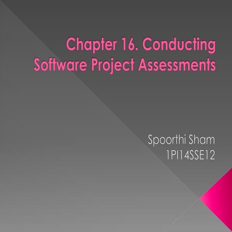 Software assessment and audit