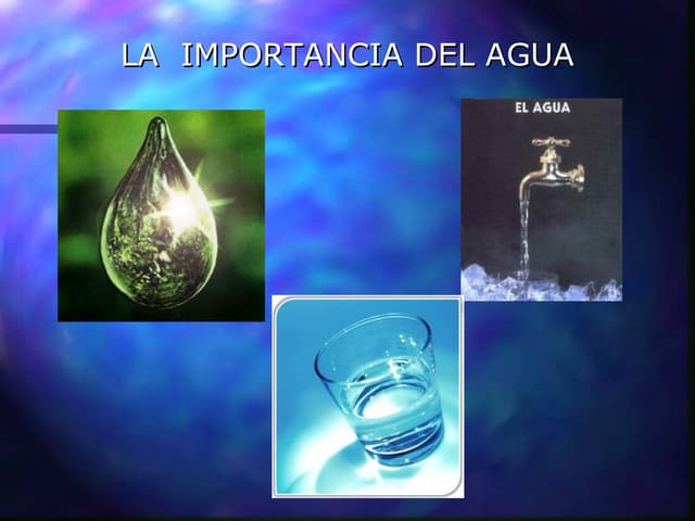 Importancia del agua para el cerebro