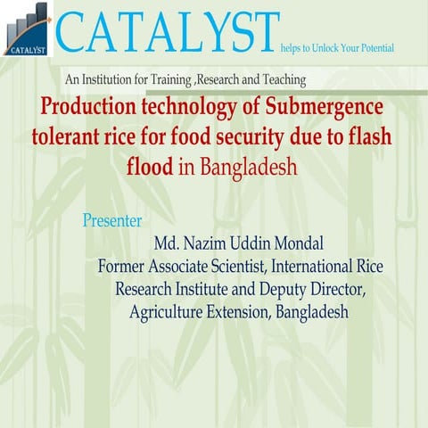 Submergence tolerent rice varieties in Bangladesh