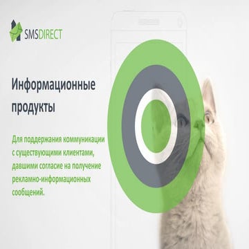 Информационные продукты SMSDirect