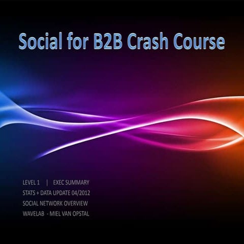 Social Media / B2B (Level 1)