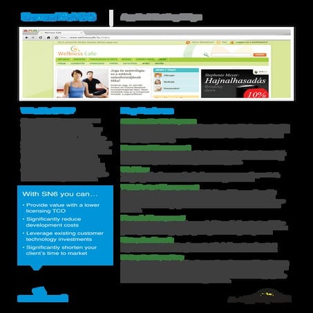 Sense/Net 6.0 Business Brochure