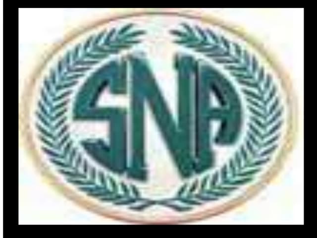 ppt on SNA
