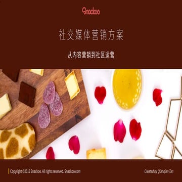 Snackoo社交媒体营销方案 | PDF