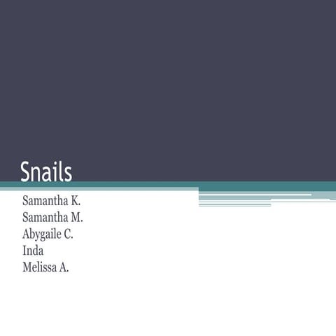 Snails presentation | PPTX