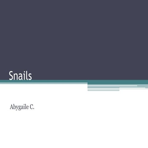 Snails presentation | PPTX