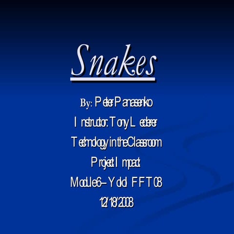 Snake | PPT | Reptiles | Pets