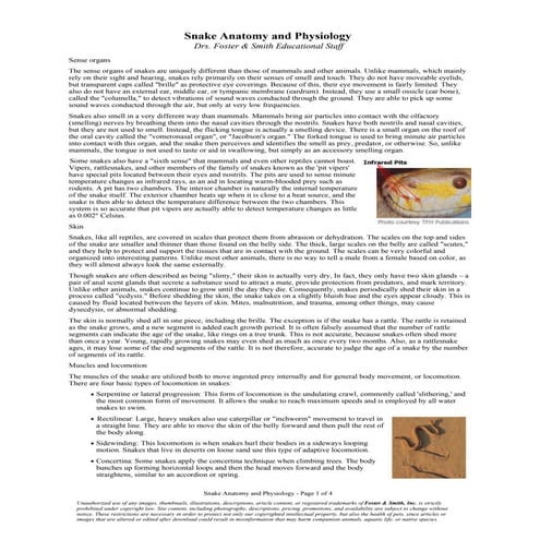 Snake anatomy and_physiology