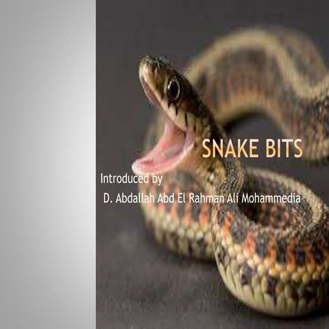 Snake bite
