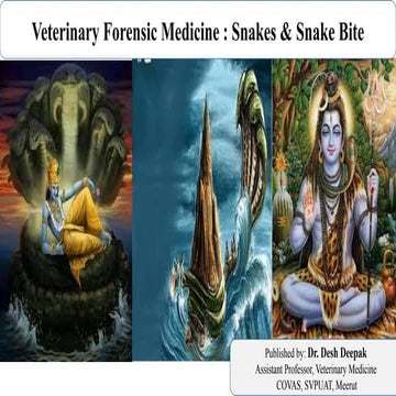 Photo inspiration: Fresh Look at Snake Bite In Veterinary Forensic Medicine Ppt